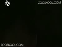 Animal Porn Tube - Hot pet owner gets her pussy eaten